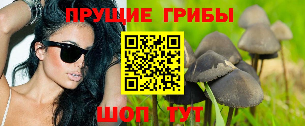 даркнет сайт  Галлюциногенные грибы MAGIC MUSHROOMS  Вход с VPN  Звенигород 